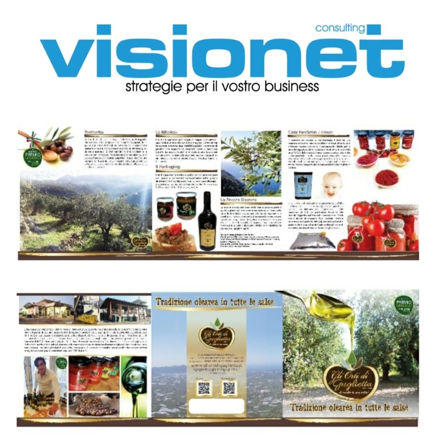 visionet