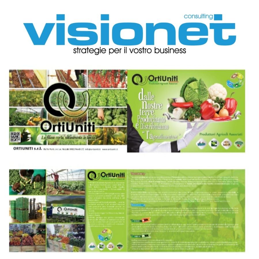 visionet