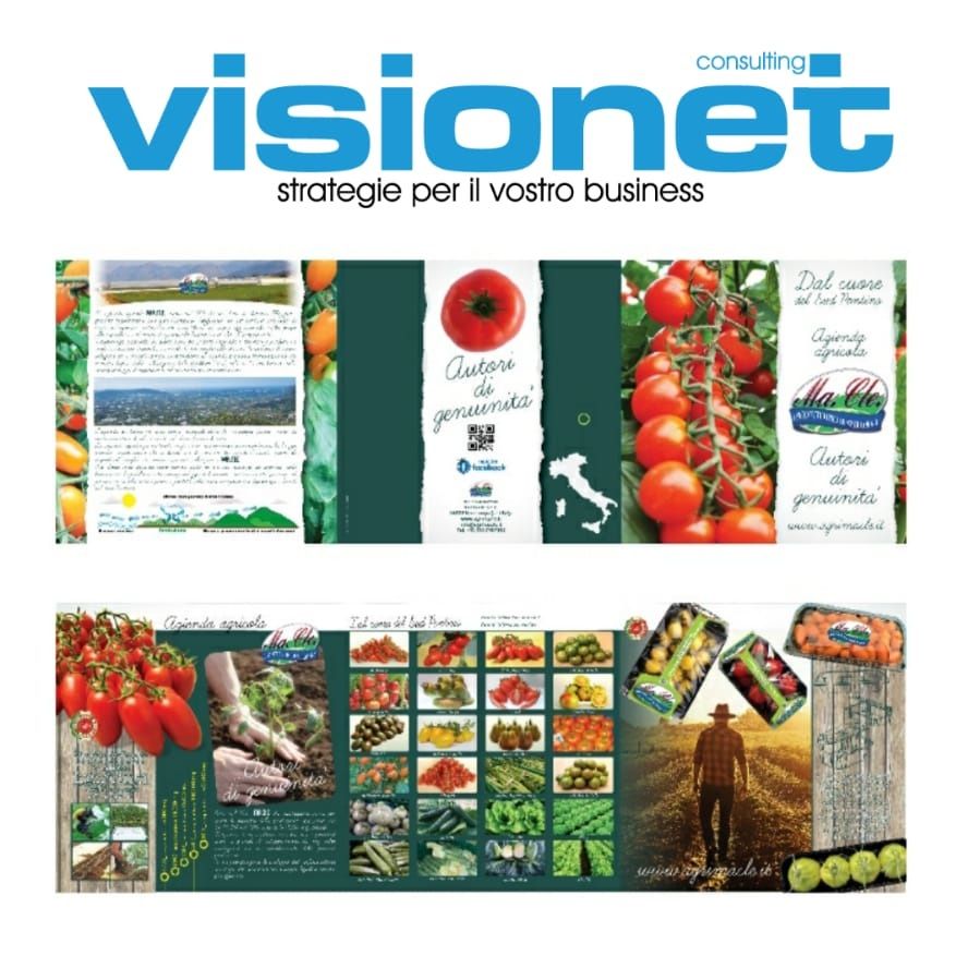 visionet